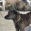 칠암 농장 이미지