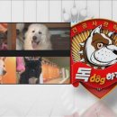 해치농장 이미지