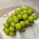 부농농장 | [내돈내산] 추선선물추천 싱싱한 샤인머스켓추천 믿고 사는 부농농장