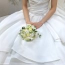 씨즈더데이 아이폰 스냅 결과물 | 색감, 분위기 내돈내산 솔직 후기