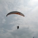 신안장수 이미지