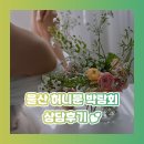 울산허니문박람회 참가 후기, 플래너 상담과 허니문 상담을 한 번에!
