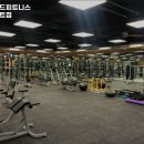 아일랜드피트니스 롯데마트점 | 경상남도 거제시 헬스장 아일랜드피트니스 롯데마트점 내용가격운영시간주차리뷰 알아보기