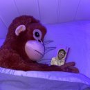 돈워리비해피 이미지