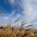 만물식자재마트 이미지