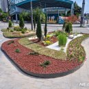 신촌마을 앞 삼거리 교통섬 이미지