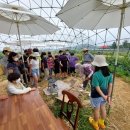 마산초등학교 이미지