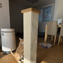 고양이 스크래쳐 파이오니아 + 포스트 펄치 패드 구입 조립 후기