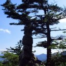 불자의집 이미지