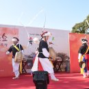 노거수 은행나무 축제의 속삭임 이미지