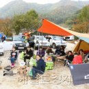 캠프온 오토캠핑 헤럴드경제
