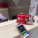 명주할인마트 | 상하이 자유여행 코스 추천, 유니온페이 카드 하나로 누린 임시정부·동방명주·정다광장백화점 총정리