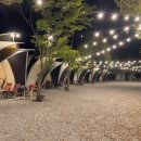 숲속에 머물다 이미지