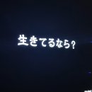 먀우네 | 에마...를 즐긴 연대기 (19~26)