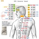 기경팔맥의 해설 , 임맥과 독맥의 혈자리 해설 및 위치도(펌) 이미지