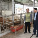 언양축산 이미지