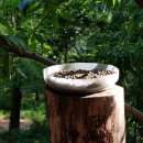 엄마의밥상 이미지