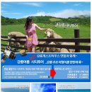 솔 투어 이미지