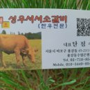 성우갈비
