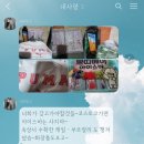 사직동 아시아드로 자동차피부과 앞 | 사진일기 (아기백일선물, 노시부, 김해 어방동 밀양돼지국밥, 10주년 결혼기념일, 백일삼신상, 리틀티니...