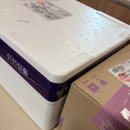 땅콩네일 | 11. 웨딩촬영 일주일 전 일상( 운동, 웨딩촬영 소품준비, 웨딩 네일 팁 구매후기 )