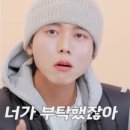 그레이락 이미지