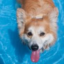 스페인어회화 이미지