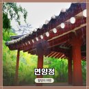 급제선생안 | 드라마 &lt;원경&gt;촬영지 &lt;면양정&gt; 방문 및 사진촬영! 우중 촬영 후기 (개구리도 포착!)
