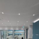 뷰티풀펫(Beautiful Pet) | 건강한 몸과 마음을 위한 맞춤 운동 공간