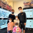 김해 강아지분양 고양이분양 도그하우스 대성점 | 김해 강아지분양 도그하우스 고객님 후기