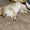 밥통소프트 이미지