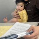 자연닮기약국 | 9개월 아기랑 도쿄여행 후기 (아들 천재 만들기?)