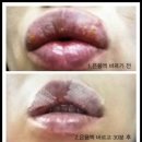 코코실버(주) 이미지