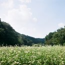 물음표