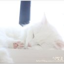 루시호텔 이미지