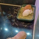 작은동물원수족관 이미지