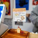 고양이샵 | [강릉소품샵] 냥냥강릉, 고양이 러버들은 모두 모여라! 강릉 고양이 소품샵 후기