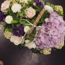호노보노