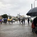 제주사랑약국 이미지