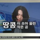 주주 손에 밀려난 조양호 회장 - 대한항공 경영권 상실 이미지