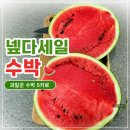 과일꾼 | 넾다세일 과일꾼 수박 5kg 내돈내산 솔직후기