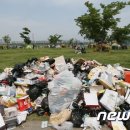 한강시민공원 이미지