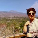 산록남로 이미지