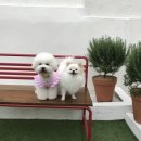 오파프부산 이미지