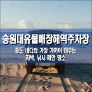 그린마트 | 송원대유물매장해역주차장, 증도 전남 신안군 바다와 가장 가까이 머무는 차박, 낚시 해안 명소