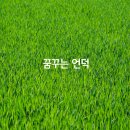 꿈꾸는 언덕 이미지