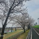 영강체육공원 테니스장 이미지