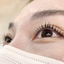 씨씨즈속눈썹 이미지