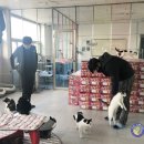 (주)디케이코리아 네이버블로그