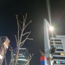 한일공인 행정사사무소 이미지